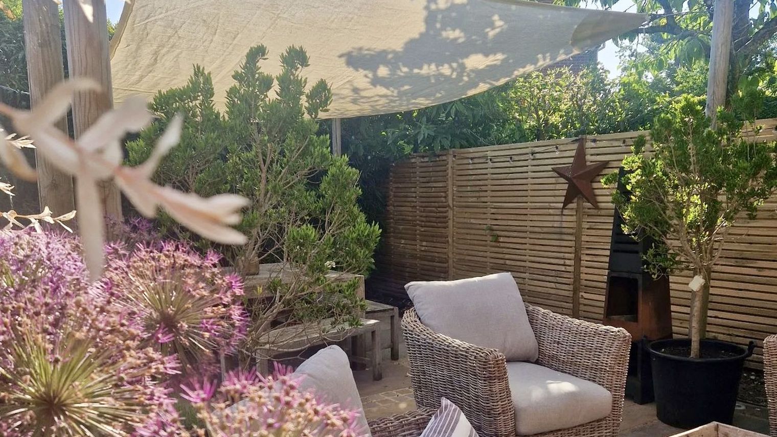 A West Sussex garden with a shaded seating area, slatted fencing and allium planting